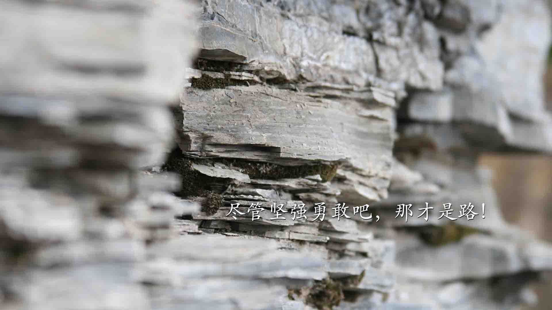 “未来之星”青少年青训创新联盟在上海正式成立，助推行业高质量发展