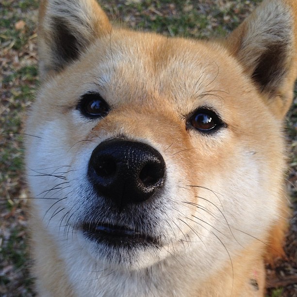 全能运动会：多项赛事一站式体验，全能运动比赛有几项