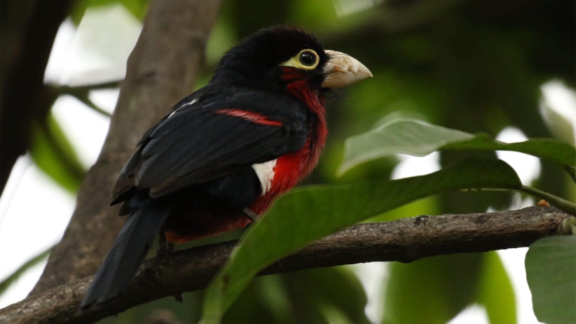 九游官网下载电脑版-常规赛亮点：那些被忽视的细节瞬间你错过了吗？，常规赛怎么形容